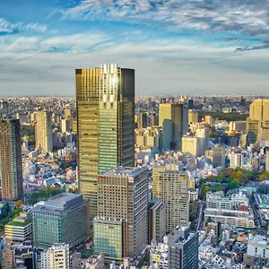 5* Отель The Ritz-carlton,